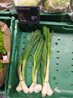 Oignons Bottes
