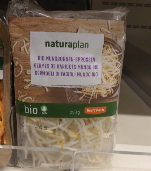 Germes de haricots bio 250g