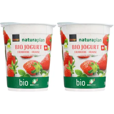 Bio Yogourt Fraise 2x180g