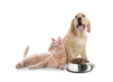 NOURRITURE POUR ANIMAUX