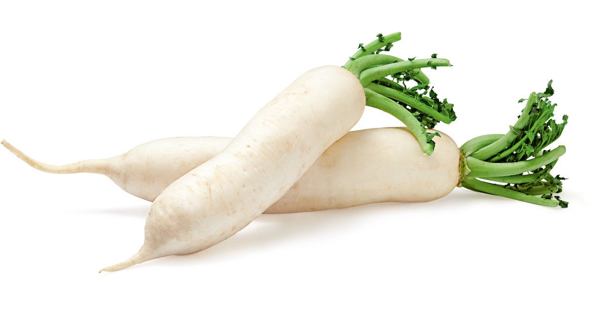 Radis blancs 1 Pièce