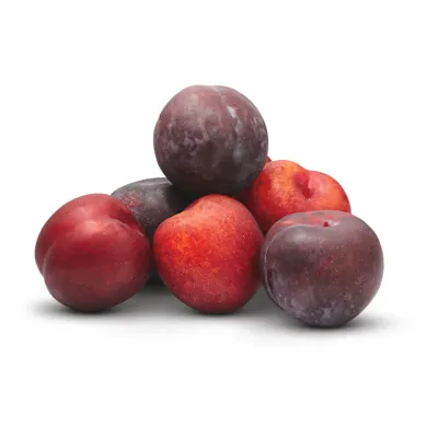Primagusto Pêches blanches env. 1kg nectarines