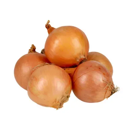 Oignons jaunes IP-Suisse env. 500g