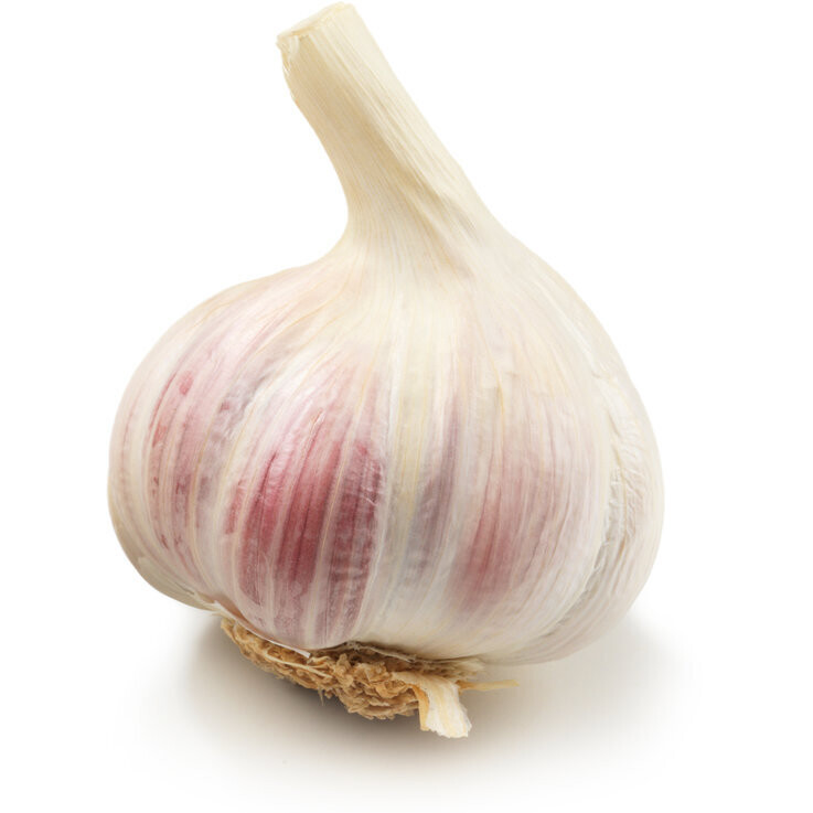 Ail 1 pièces