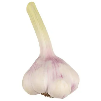 Ail 1 pièces