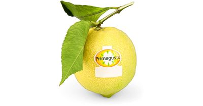 Primagusto Citron 1 pièce