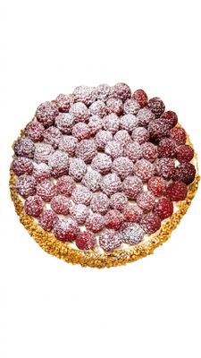 Tourte Fruit 1x24