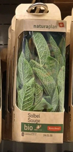 Sauge 20g