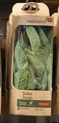 Sauge 20g