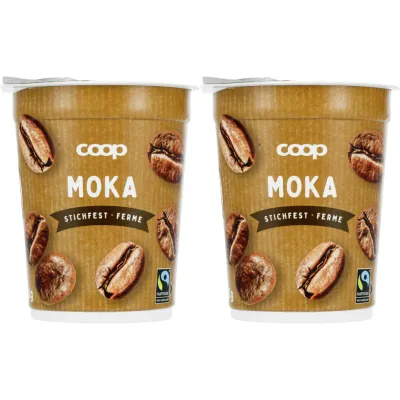 Max Havelaar Yogourt Moka 2x180g