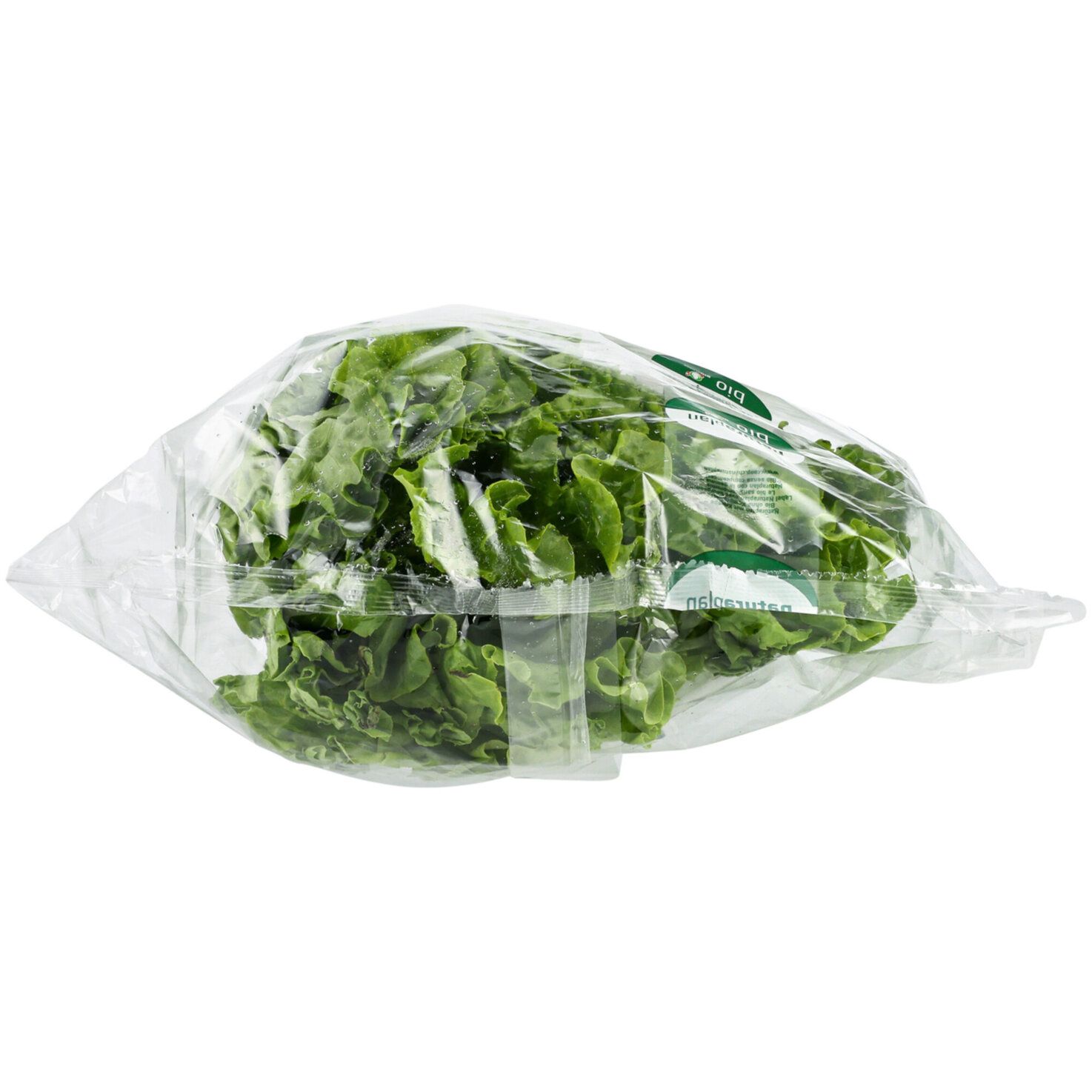 Bio Batavia vert 1 pièces