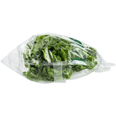 Bio Batavia vert 1 pièces