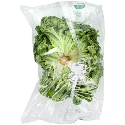 Bio Batavia vert 1 pièces