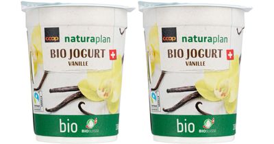 Yogourt bio vanille