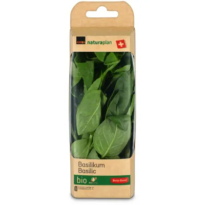 Betty Bossy  Basilic 20g