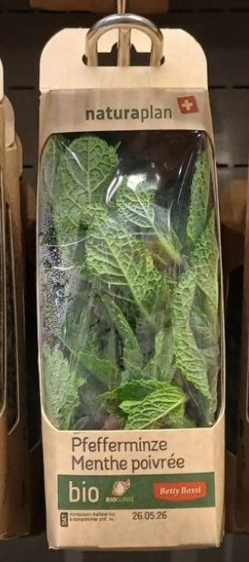Menthe poivrée 20g