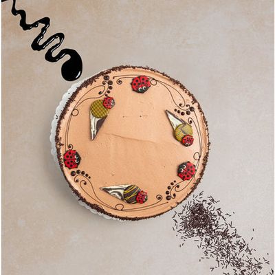 Tourte au chocolat adulte sans inscription Ø24cm