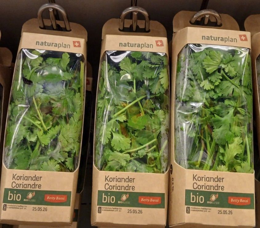 Coriandre 20g