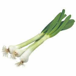 Oignons botte env. 180g