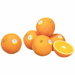 Bio Oranges blondes 4 pièces 1kg