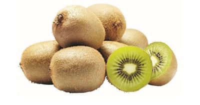 Bio kiwi vert 500g