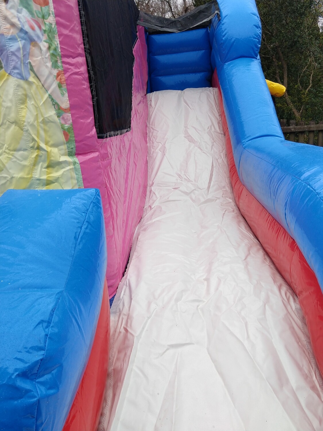 Princess 🏰 castle with dry slide.