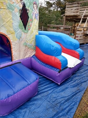 Princess 🏰 castle with dry slide.