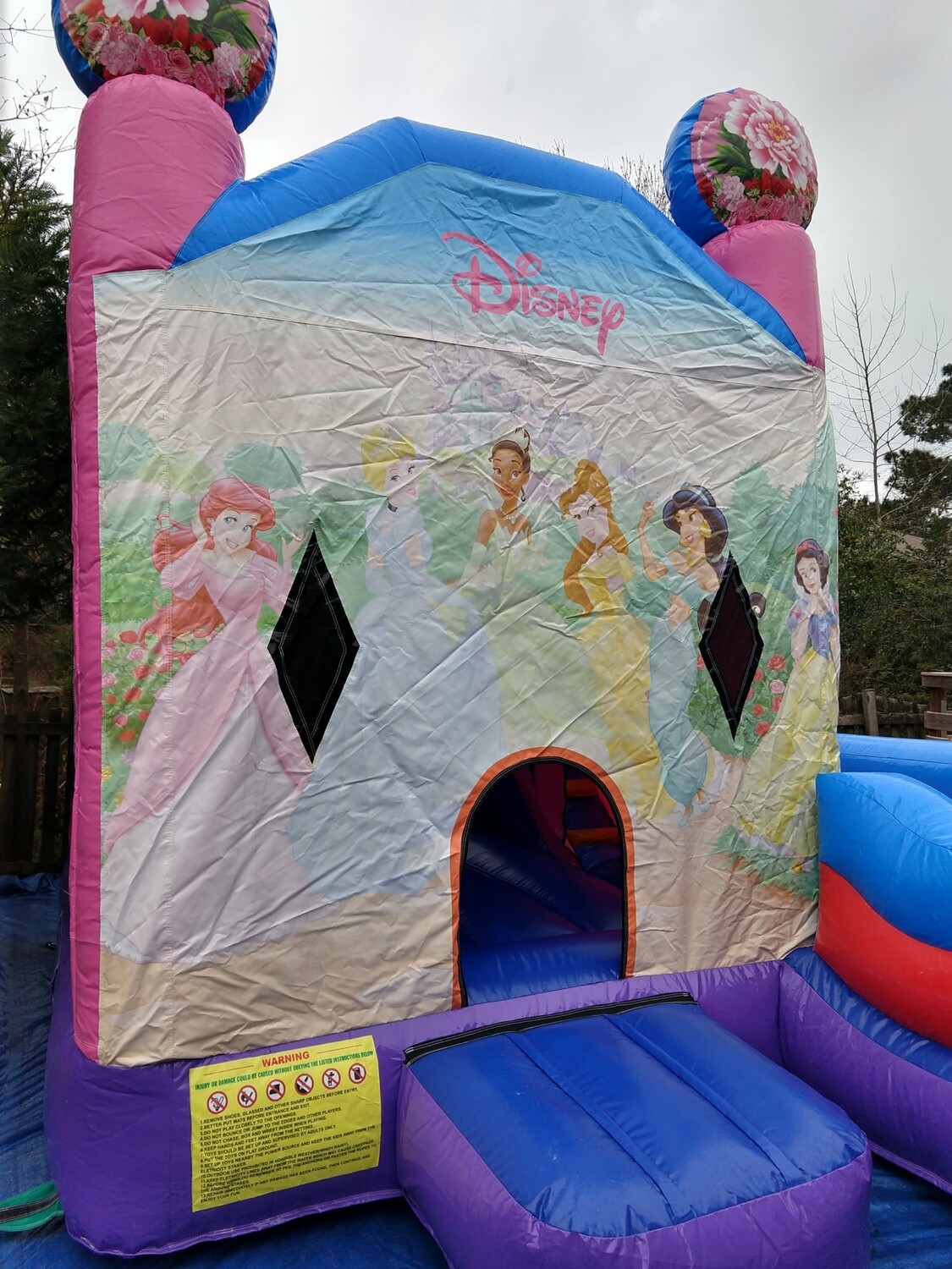 Princess 🏰 castle with dry slide.