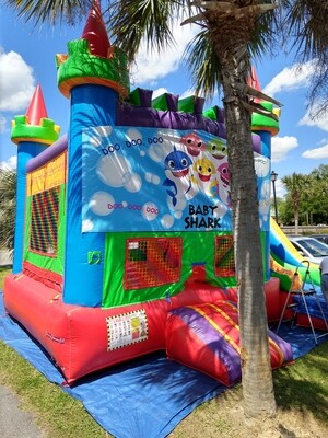 Baby shark combo slide