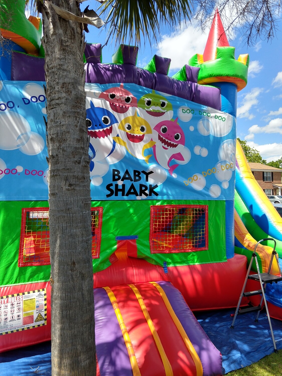 Baby shark combo slide