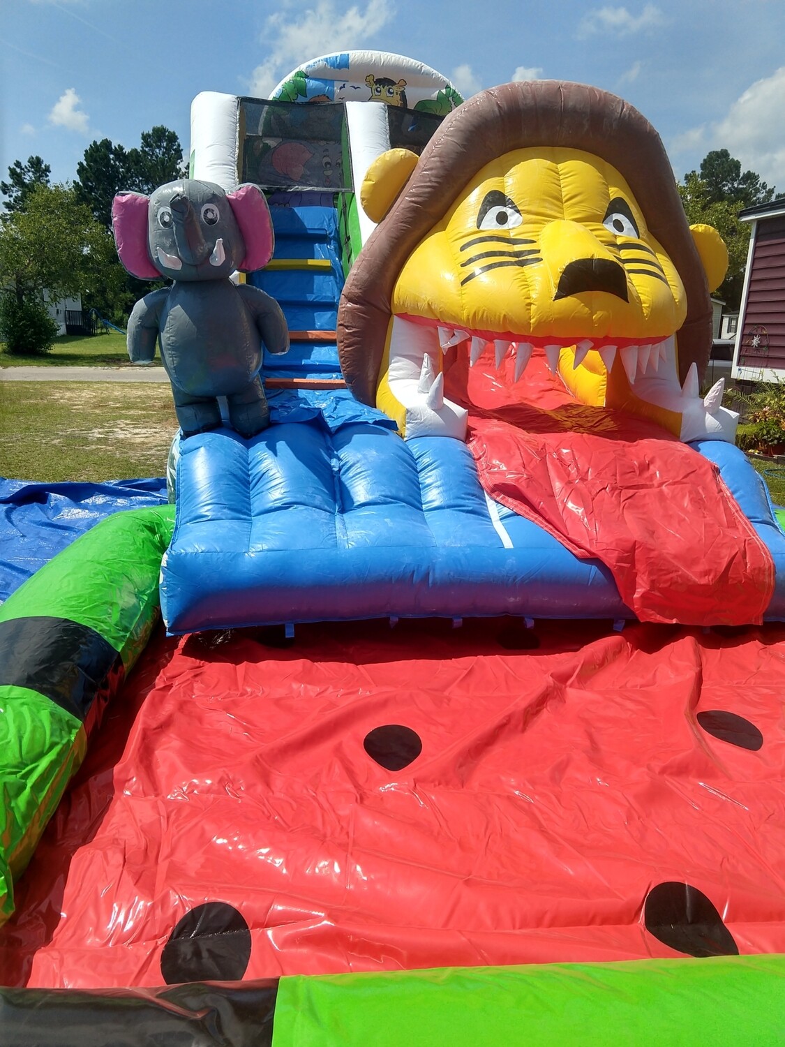 Jungle kids waterslide with big pool