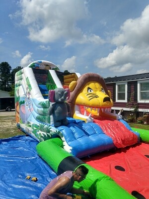 Jungle kids waterslide with big pool