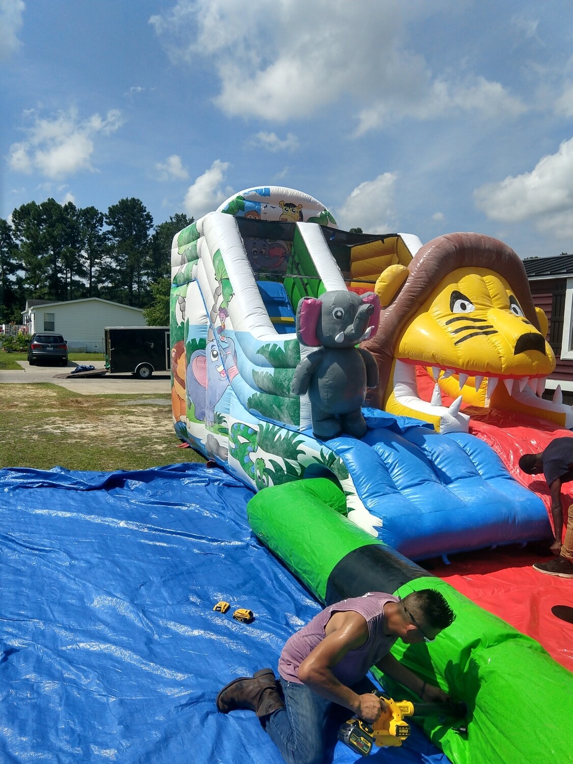 Jungle kids waterslide with big pool