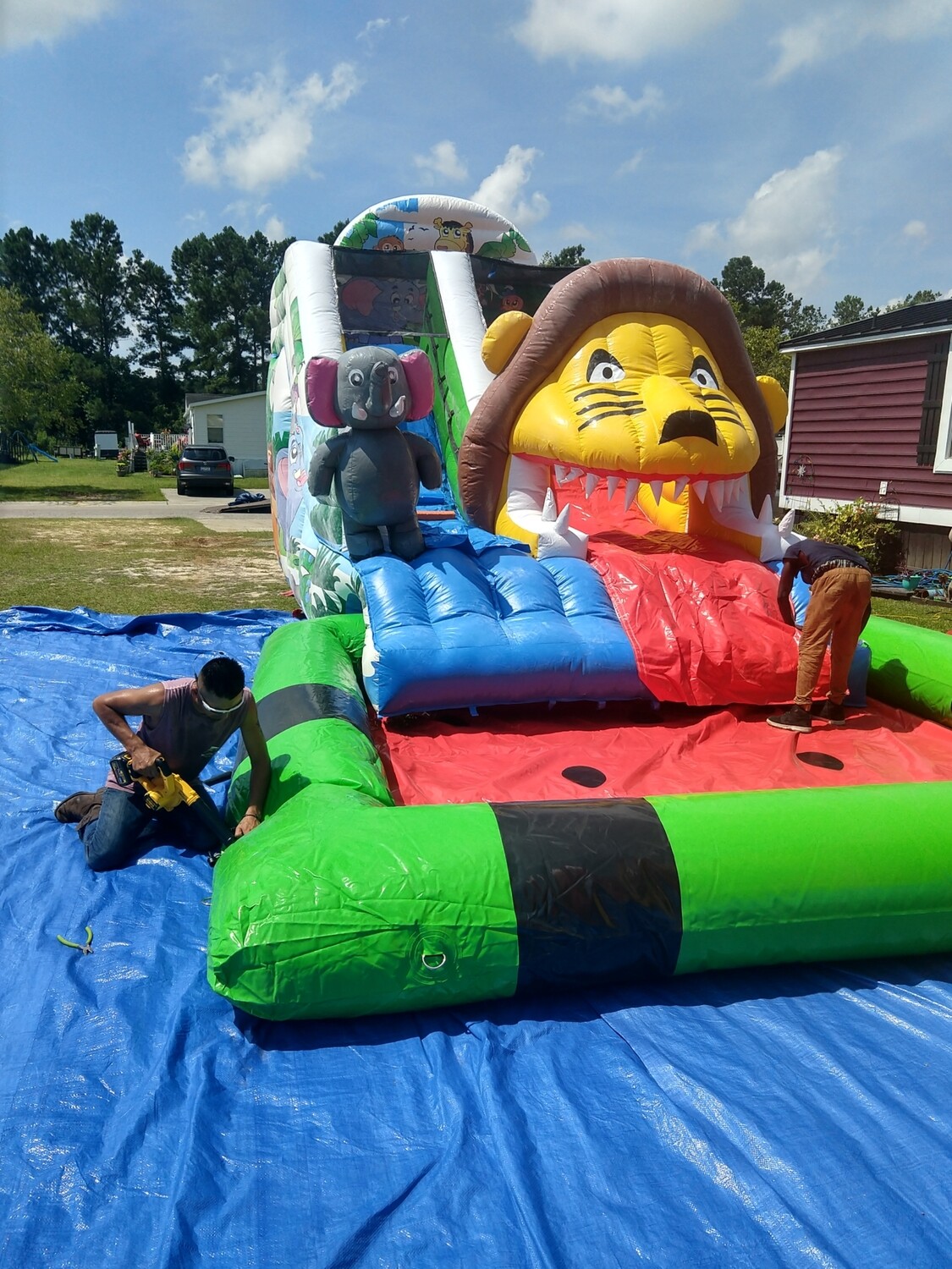 Jungle kids waterslide with big pool