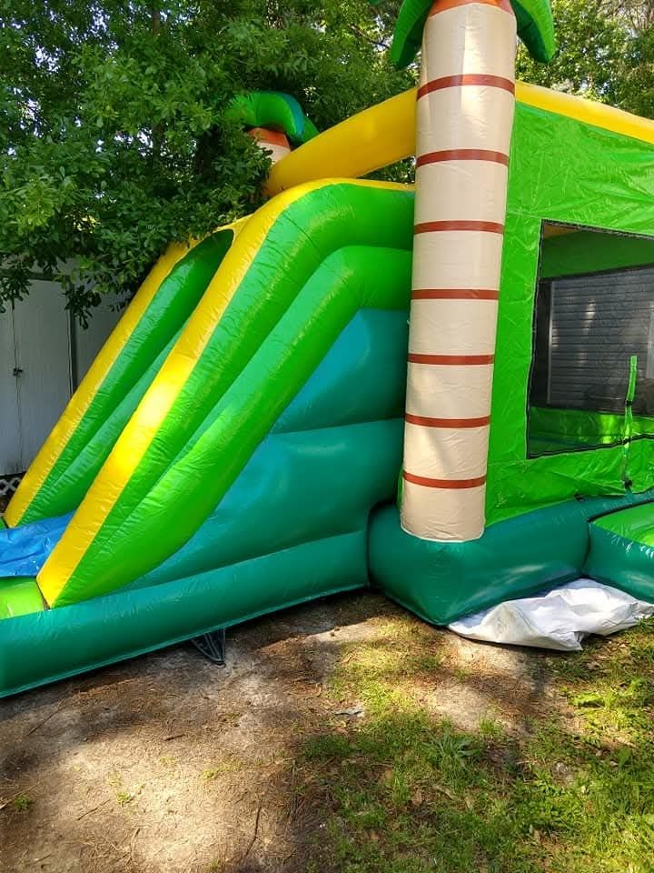 Palmtree  jungle waterslide