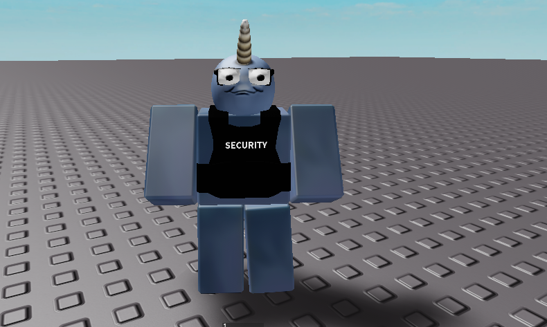 Security Vest