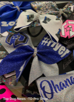 Replacement Team Practice Bow 2025