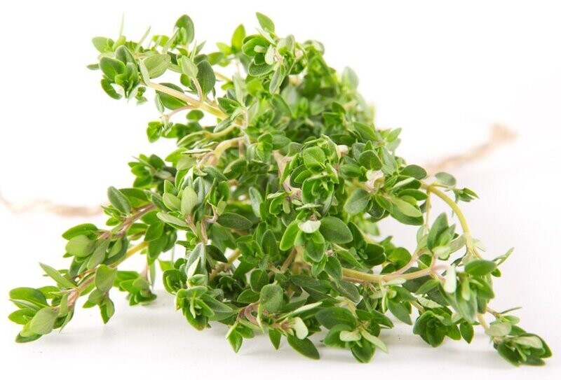 Thyme 500ml