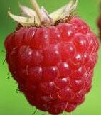 Flavour World Natural Raspberry