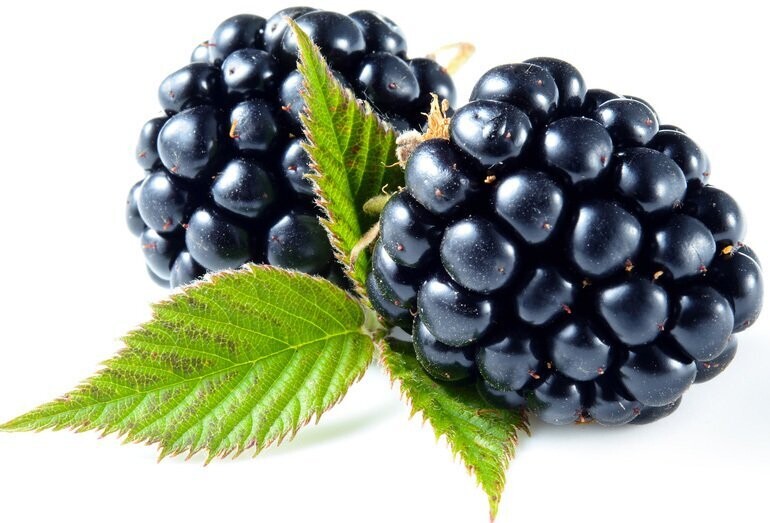 Blackberry