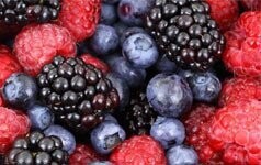 Forest Fruits