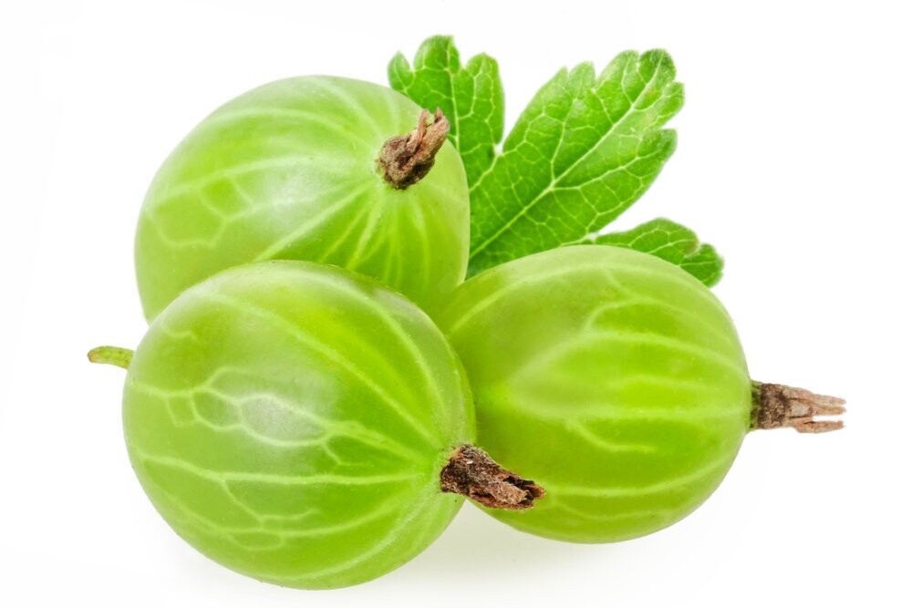 Gooseberry