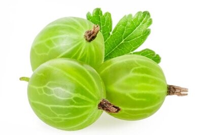 Gooseberry