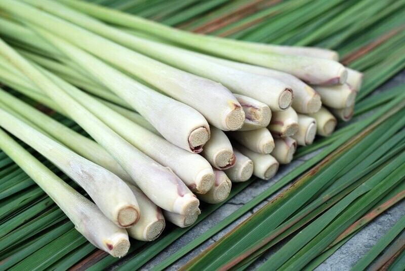 Lemongrass