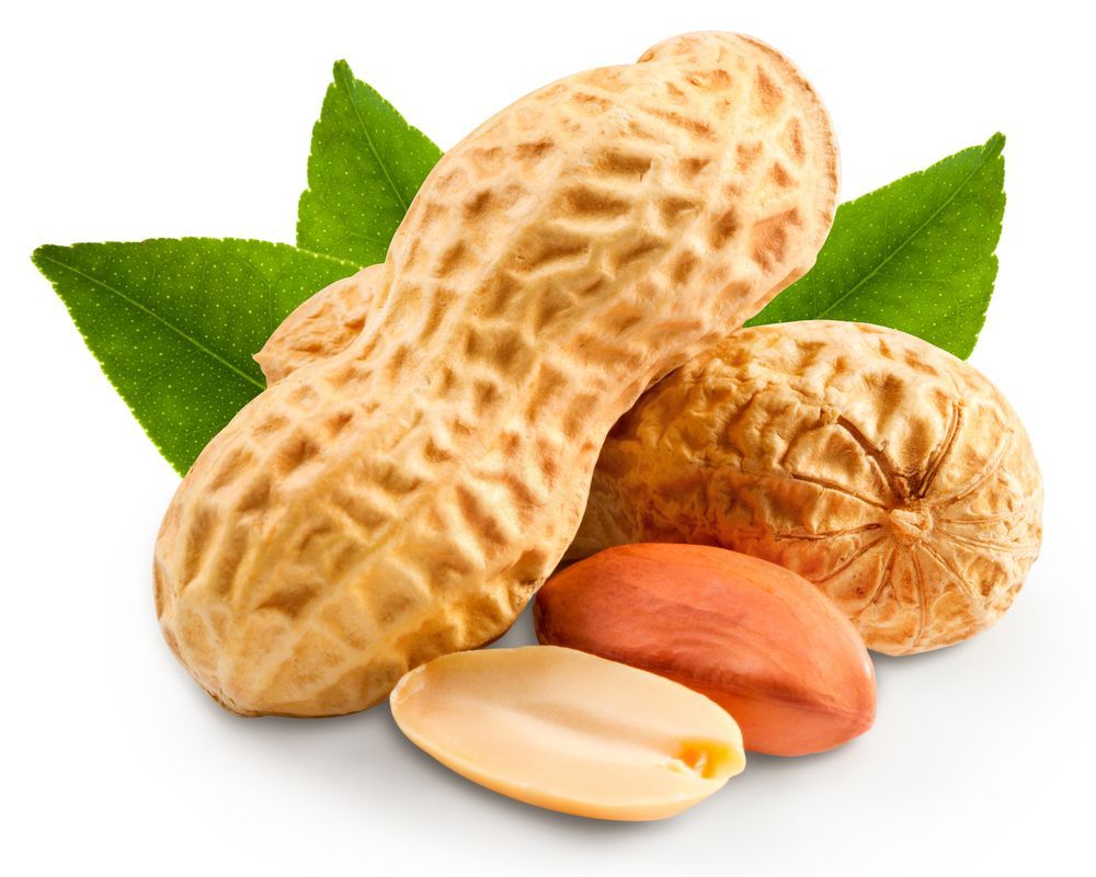 Peanut