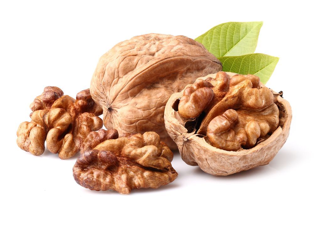 Walnut