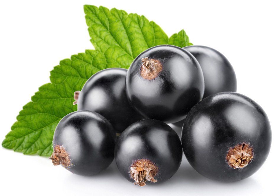 Blackcurrant
