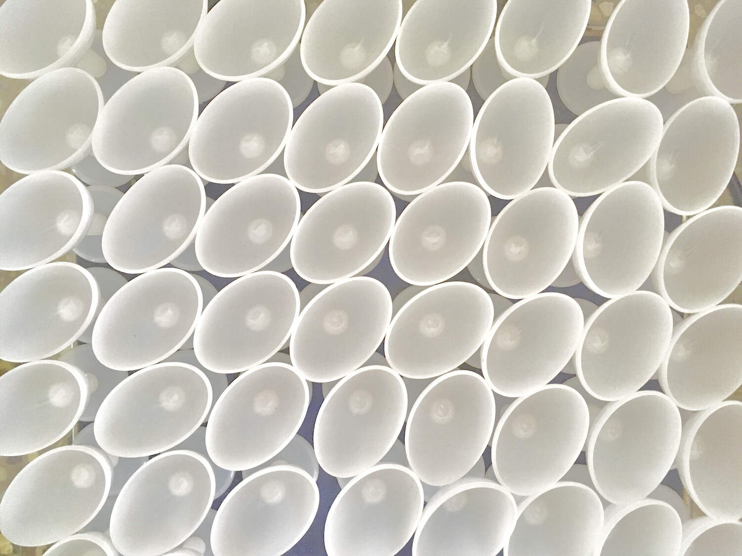 Eye Wash cup