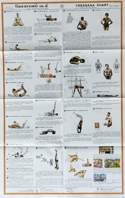 யோகாசன சுவரொட்டி - Yogasana Chart | Wall Display