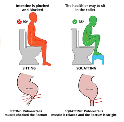 Western Toilet Squat Stool | Posture Correction